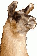 Llama logo