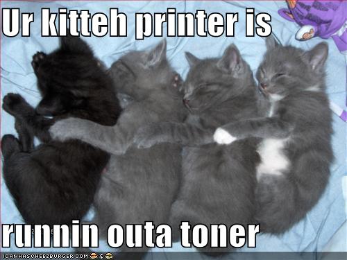 09kitten-printer.jpg